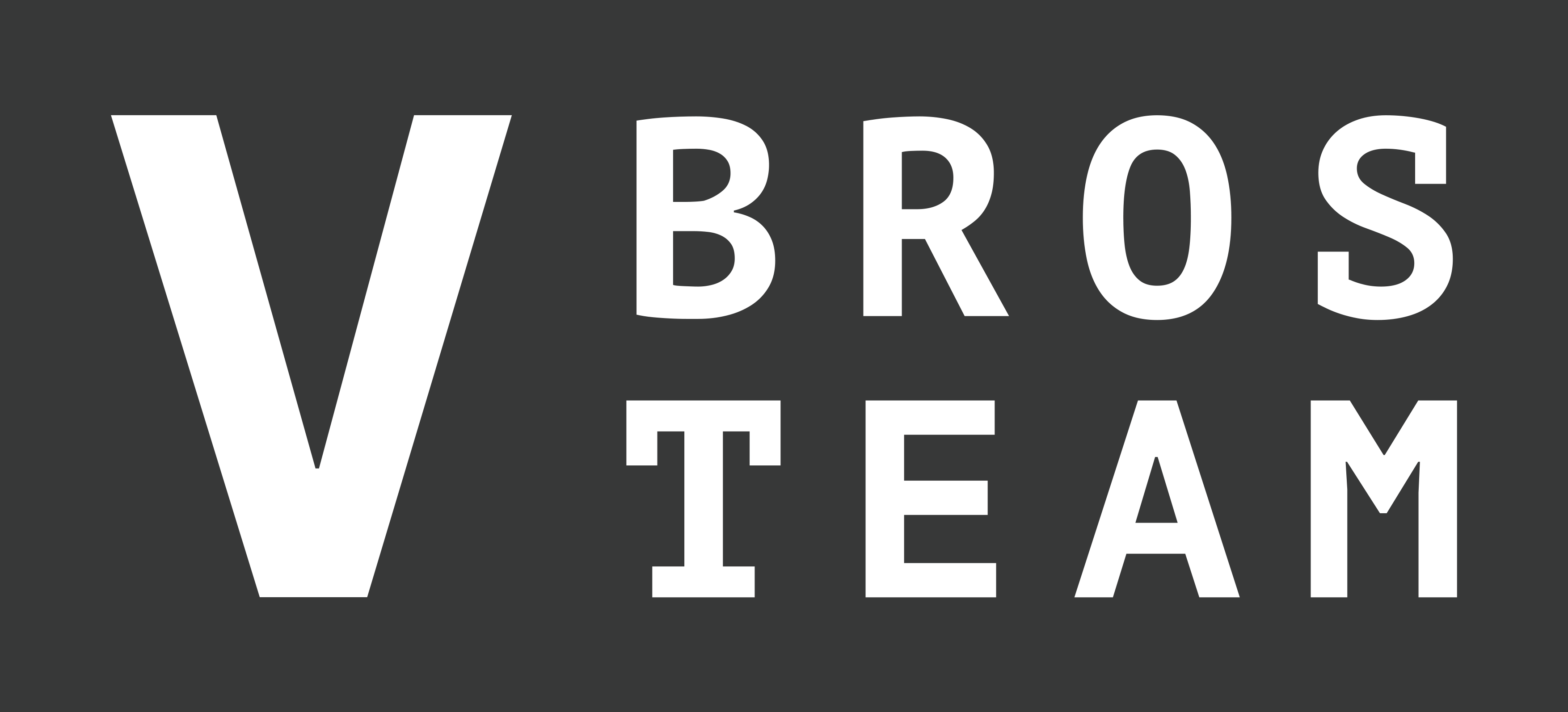 V BROS TEAM